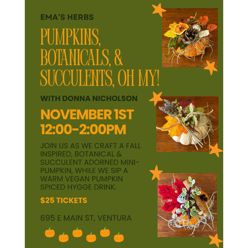 Pumpkins, Botanicals, & Succulents, Oh My! with Donna Nicholson