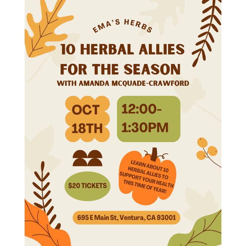 10 Herbal Allies for the Season with Amanda McQuade-Crawford