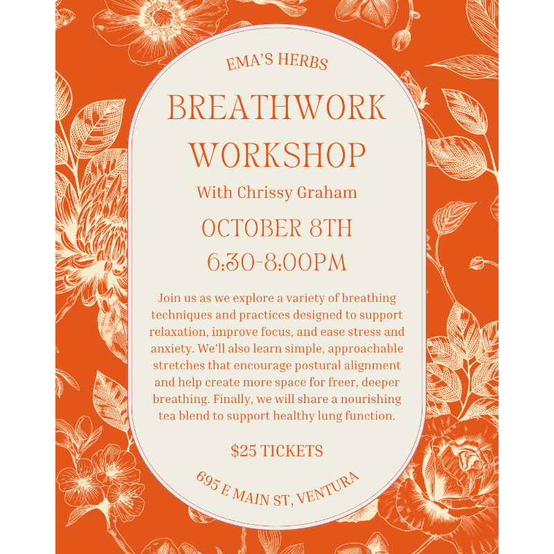 Breathwork Workshop with Chrissy Graham