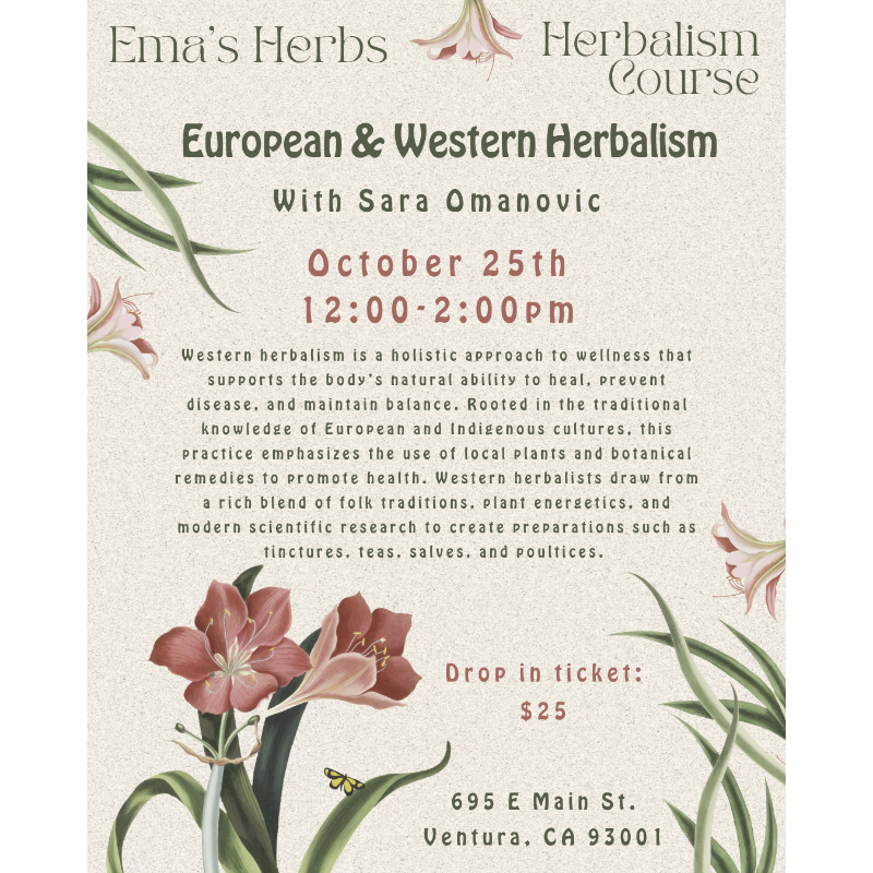 European & Western Herbalism with Sara Omanovic